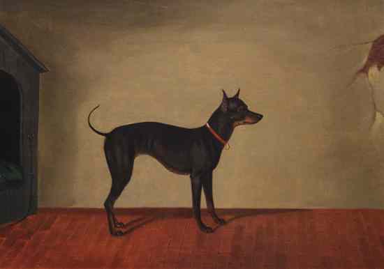 Appraisal: English School c oil on canvas Study of a terrier