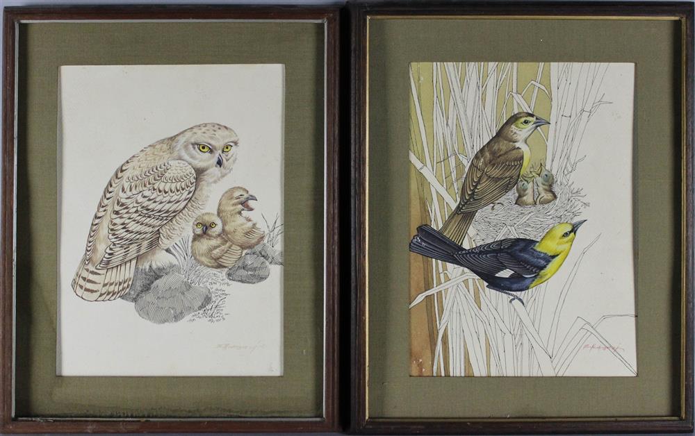 Appraisal: B RODRIGUEZ PAIR OF WATERCOLORS OWLS AND NESTING BIRDS along