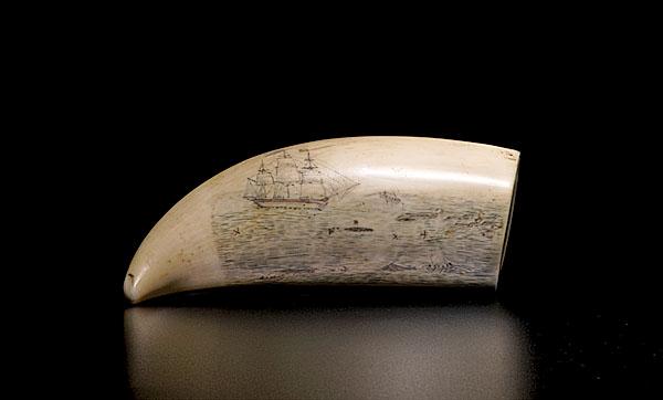 Appraisal: SCRIMSHAWED WHALE'S TOOTH WITH WHALING SCENE AND AMERICAN SHIP American