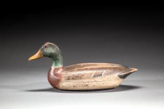 Appraisal: Mallard Drake by Charles Walker Mallard DrakeCharles Walker - Princeton