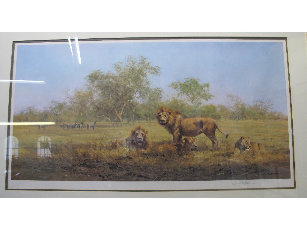 Appraisal: After DAVID SHEPHERD Limited Edition reproduction 'Evening in Luangwa' signed