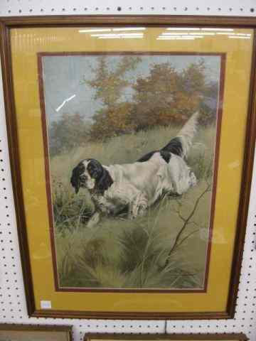 Appraisal: G Muss-Arnolt Print of a Spaniel on point '' x