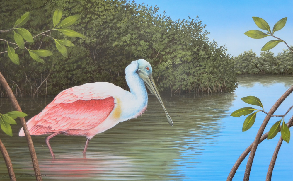 Appraisal: SIMMONS Ernest C American th Century Roseate Spoonbill in Shallow