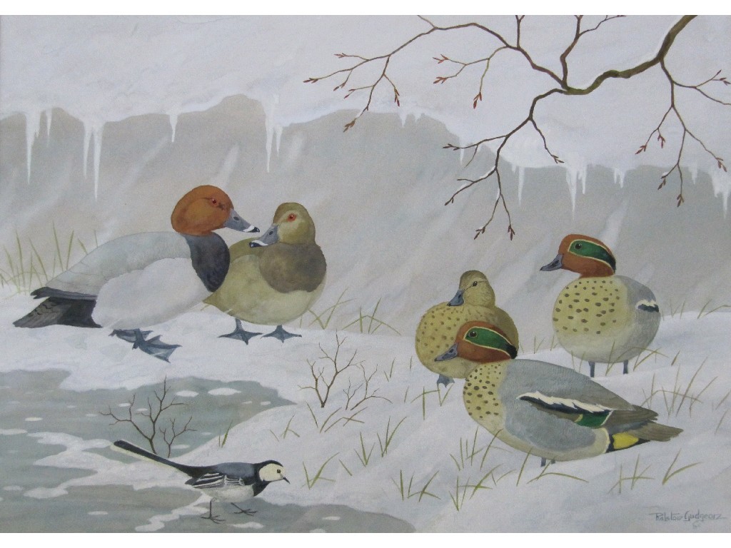 Appraisal: RALSTON GUDGEON RSW Watercolour Winter Scene with Teal Pochard and