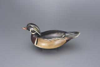 Appraisal: Swimming Wood Duck Drake Jim Schmiedlin Swimming Wood Duck Drake