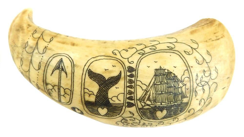 Appraisal: Scrimshaw whale tooth th C tooth date of decoration unknown