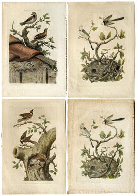 Appraisal: Four Cornelius Nozeman engravings - and Jan Christiaan Sepp -