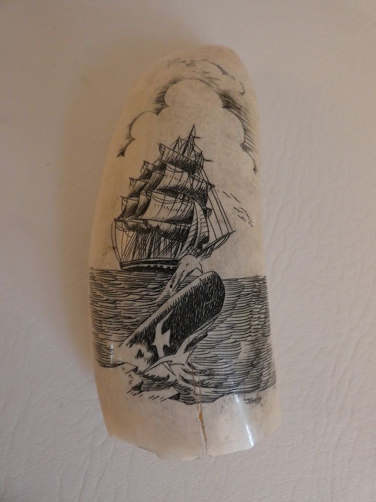 Appraisal: SCRIMSHAW WHALE TOOTH - JONES Scrimshaw whale tooth with whale