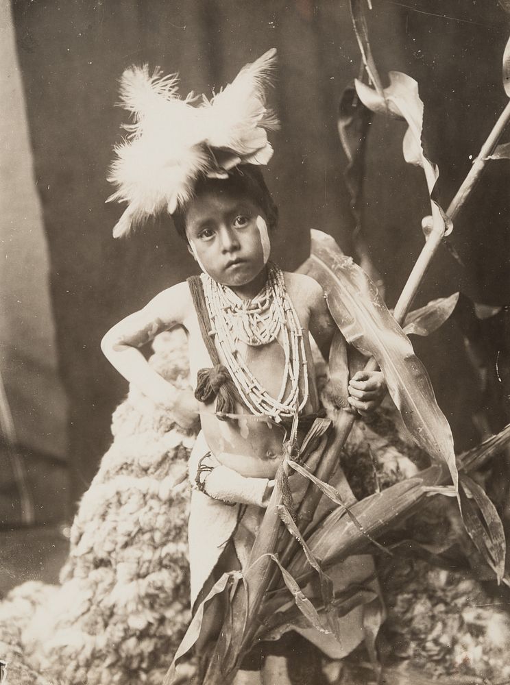 Appraisal: Edward Curtis Awaiting the Return of the Snake Racers Edward