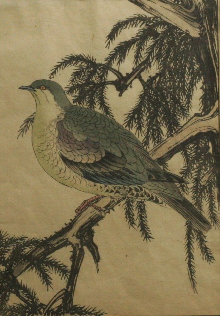 Appraisal: After Nishiyama Kanei - Bird on a Branch book illustration