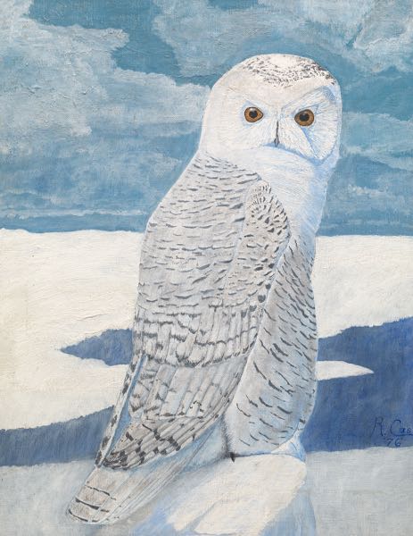 Appraisal: RUSSELL CASE AMERICAN MID- TH CENTURY x Snowy Owl Oil