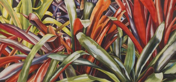 Appraisal: PHYLLIS PLATTNER AMERICAN B x Bromiliad Jungle Watercolor on paper