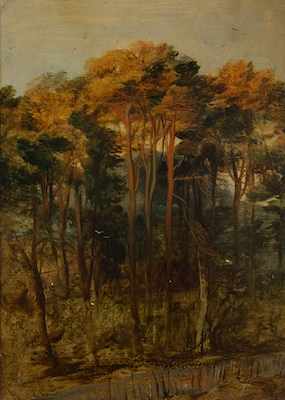 Appraisal: Attr Sir Edwin Landseer British - Landscape with Fir Trees