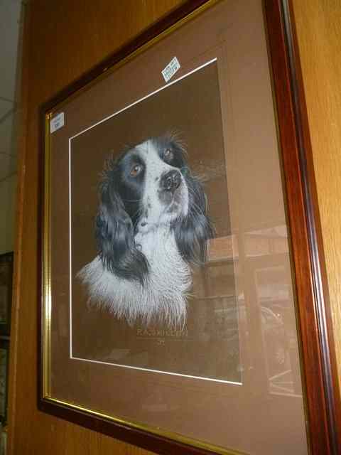 Appraisal: A PASTEL DRAWING OF A SPANIEL by P A Skillen