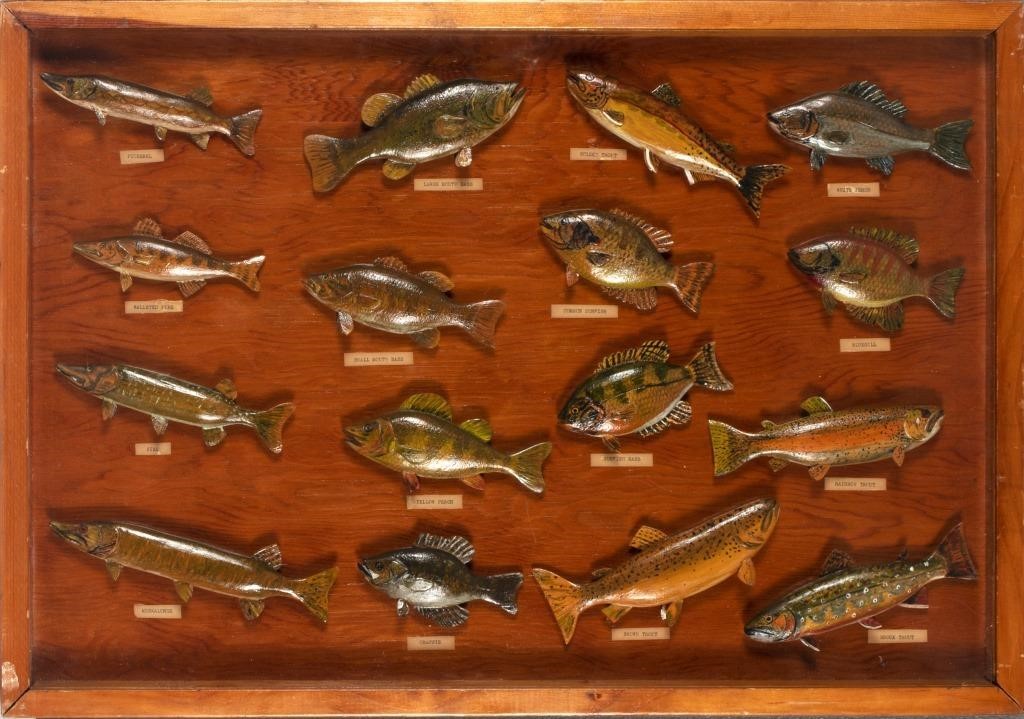 Appraisal: Massachusetts c by in A set of full-body fish carvings