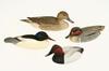 Appraisal: SCULPTURES - Lot of four hand painted miniature bronze birds