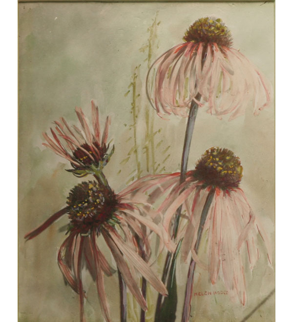 Appraisal: Helen Augusta Iserman Francis Hodge American - coneflowers gouache on