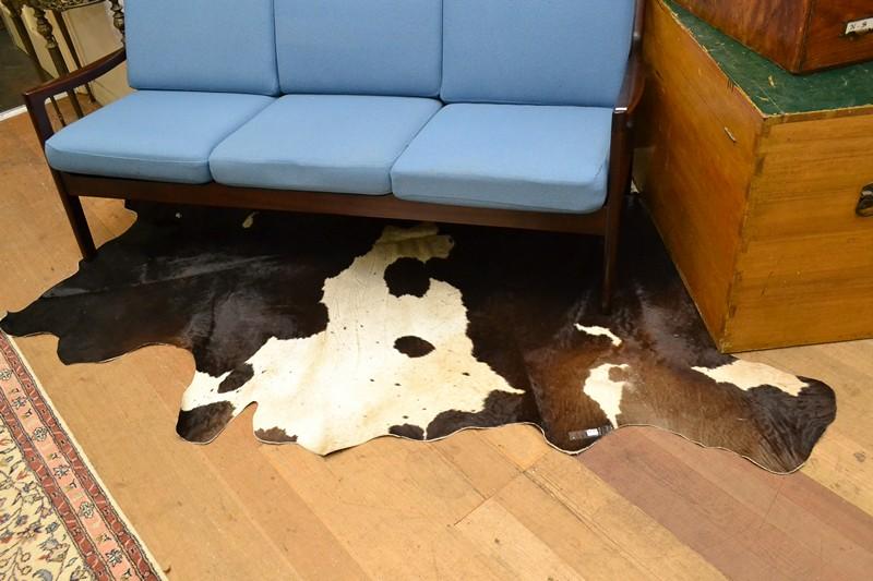 Appraisal: A SPOTTED COW HIDE JERSEY A SPOTTED COWHIDE JERSEY