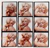 Appraisal: BERT STERN - Marilyn Monroe diptych of enlarged contact sheets