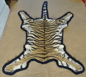 Appraisal: A Tiger skin rug by Van Ingen Van Ingen Mysore