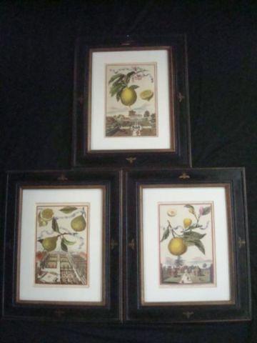 Appraisal: French Color Prints in Ebony Gilt Bee Frames From a