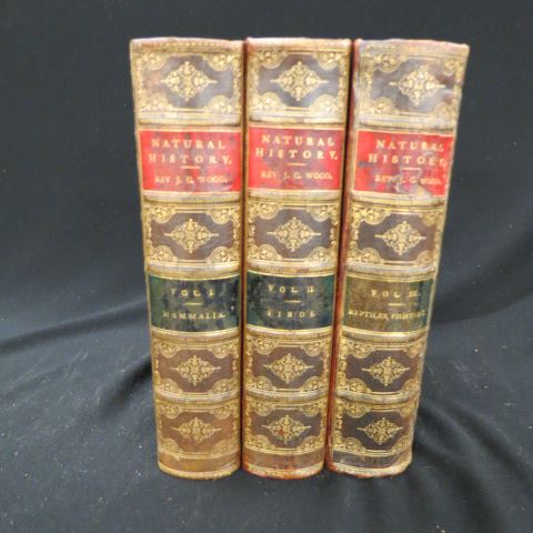 Appraisal: Volume Book Set Natural History by Rev J G Wood