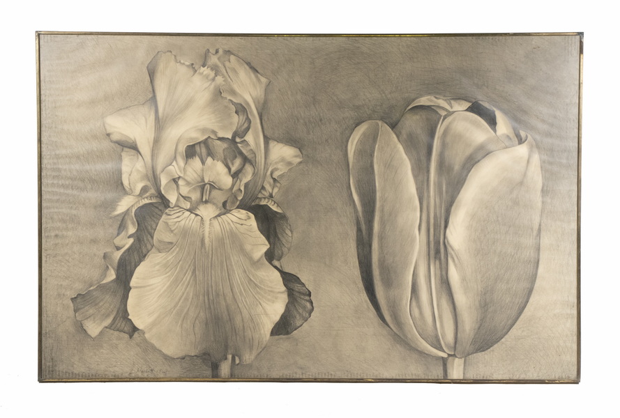 Appraisal: LOWELL NESBITT NY MD - Dialogue - Iris and Tulip