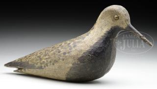 Appraisal: BLACK BELLIED PLOVER CARVED SHOREBIRD BLACK BELLIED PLOVER CARVED SHOREBIRD