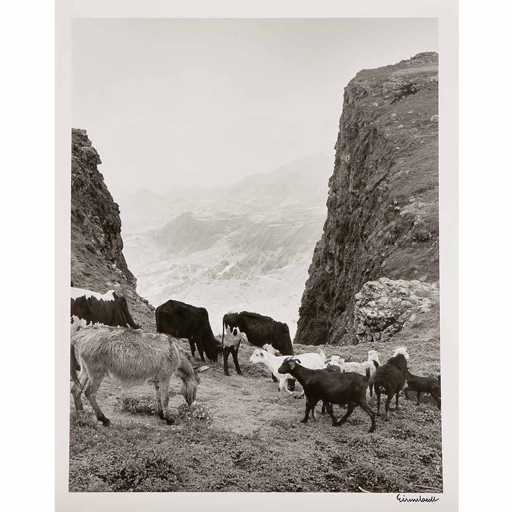 Appraisal: EISENSTAEDT ALFRED - Group of three images including Expiring wave