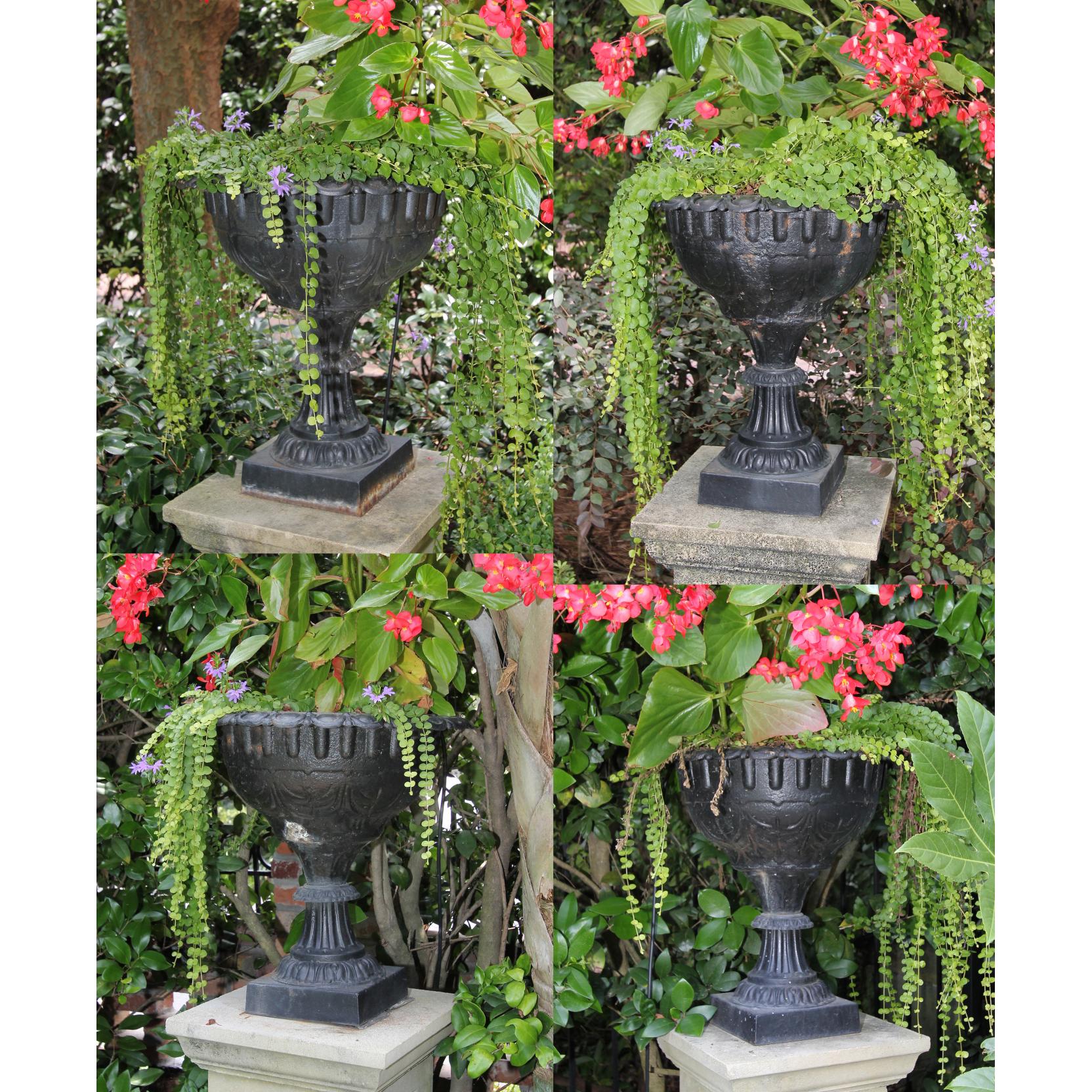 Appraisal: Set of Four Cast Iron Urn Form Planters rim with