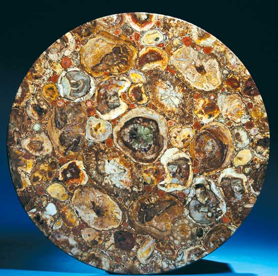 Appraisal: PETRIFIED WOOD TABLE TOP Mahajanga Madagascar Triassic - million years