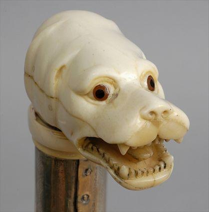 Appraisal: CARVED IVORY-HANDLED FRUITWOOD CANE Carved as a growling hound head