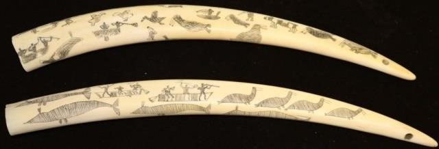 Appraisal: PAIR OF LATE TH OR EARLY TH CENTURY ALASKANSCRIMSHAW WALRUS