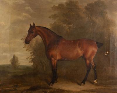 Appraisal: Attributed to John Boultbee - Fearnought a bay hunter in