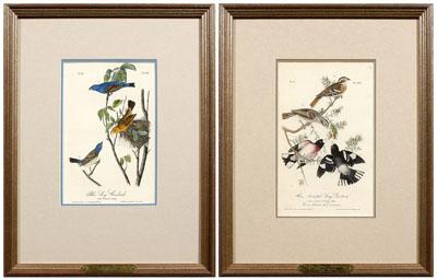 Appraisal: Two Audubon Royal Octavo prints Plate Blue Long Grosbeak and