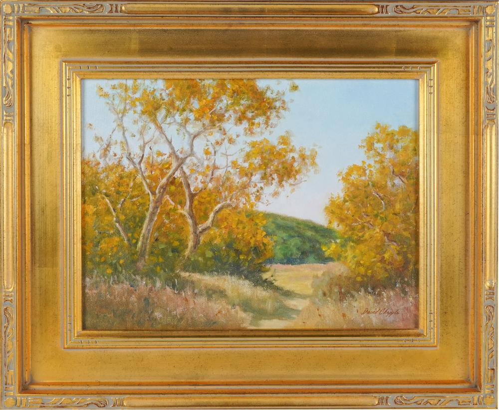 Appraisal: DAVID CHAPPLE B THE SYCAMORES - LAGUNA CANYON oil on