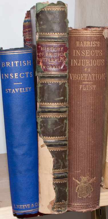 Appraisal: Entomology Three titles with hand-colored plates E F Staveley ''British