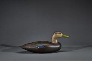 Appraisal: Black Duck James Corb Reed Black DuckJames Corb Reed -