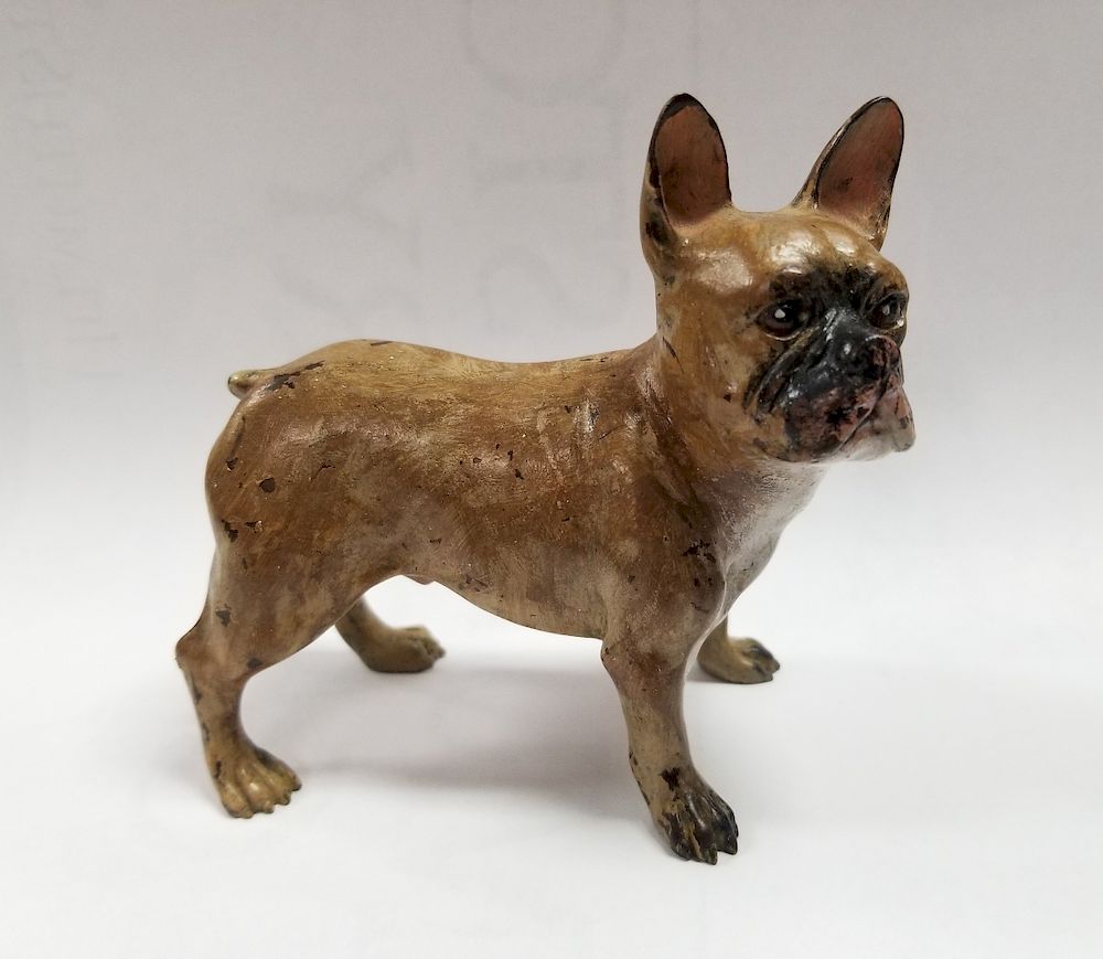 Appraisal: Austrian Cold Painted Bronze French Bulldog Austrian Cold Painted Bronze