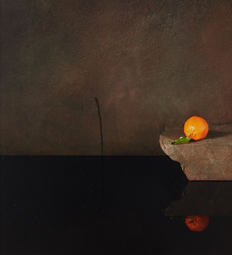 Appraisal: Ori Gersht Falling Bird Orange Lambda Print Ori Gersht b