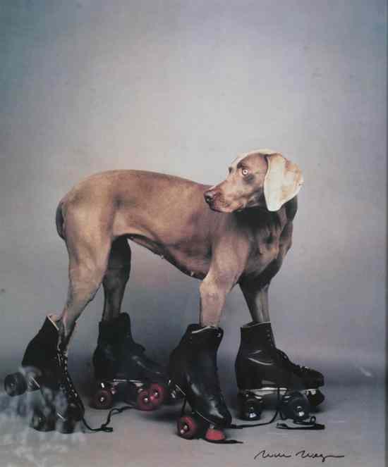 Appraisal: WILLIAM WEGMAN American b ROLLER ROVER POSTER signed lower right