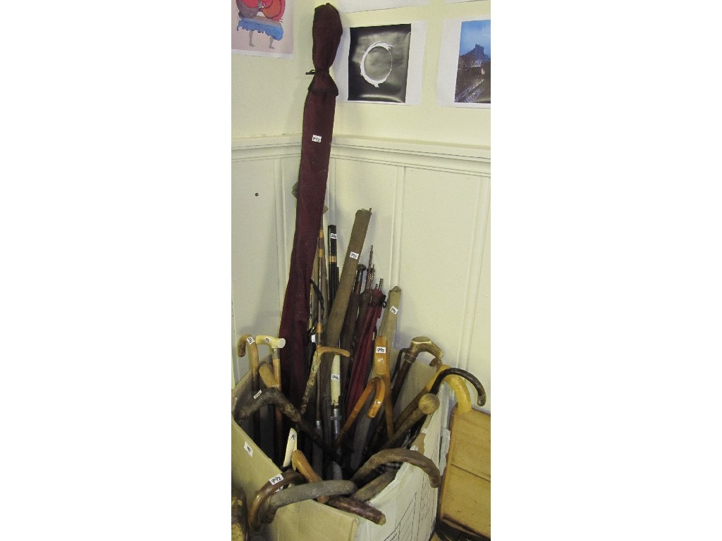 Appraisal: Lot of assorted walking canes some with silver mounts and