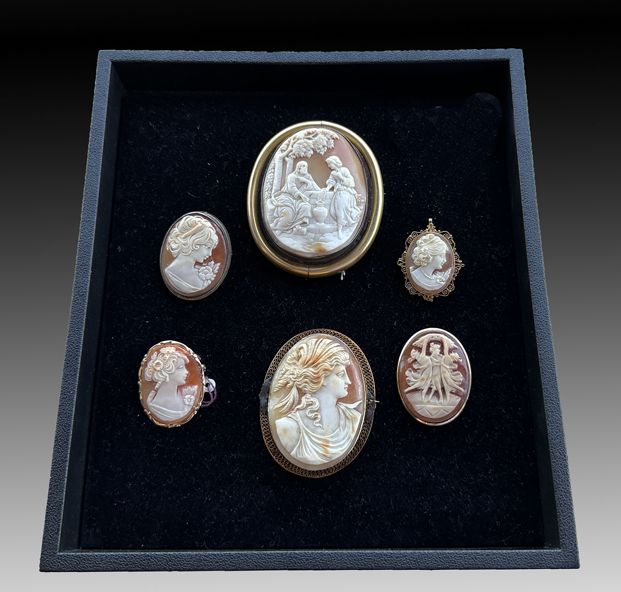 Appraisal: PC SHELL-CARVED CAMEOS Lot contains vintage intricately carved cameos all