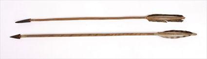 Appraisal: TWO PLAINS IRON-TIPPED ARROWS in