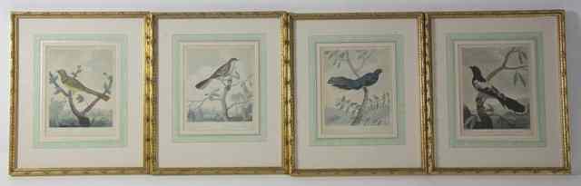 Appraisal: W Skelton after C R RyleyFour Coloured Ornithological Printspublished cm