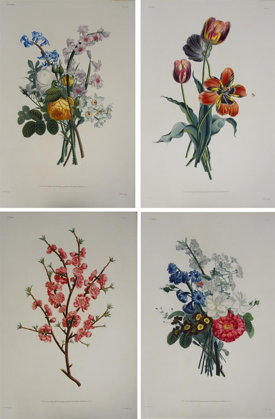 Appraisal: HORTICULTURAL BOOK PREVOST JEAN-LOUIS COLLECTION DES FLEURS ET DES FRUITES