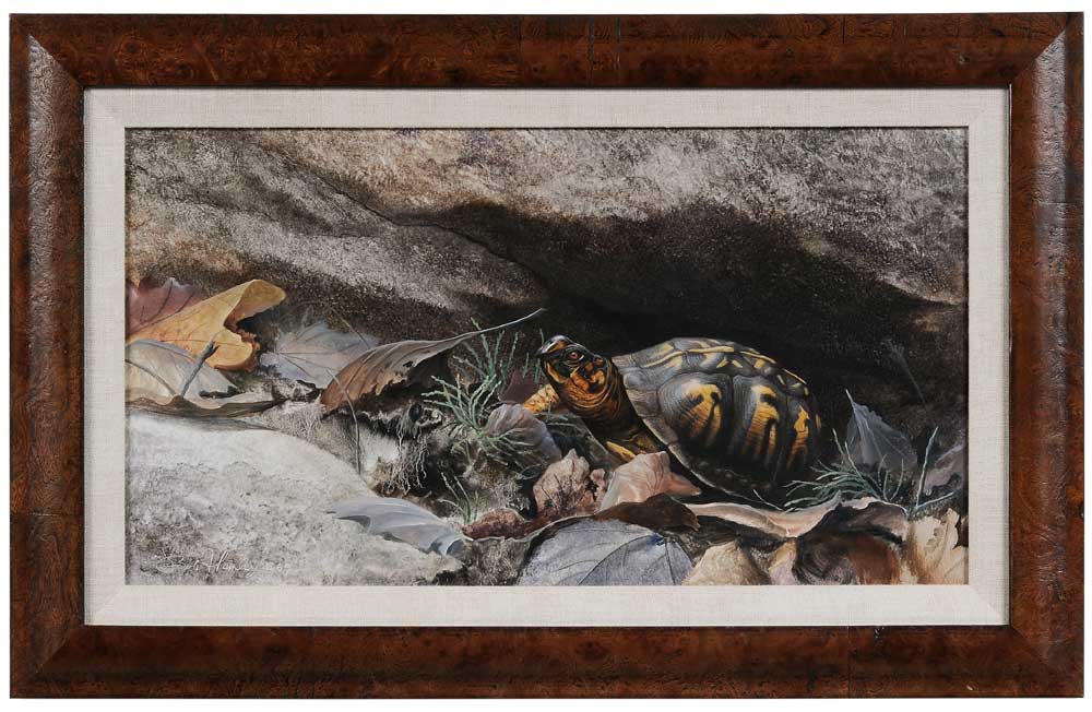 Appraisal: Bob Henley Virginia born Box Turtle signed lower left Bob