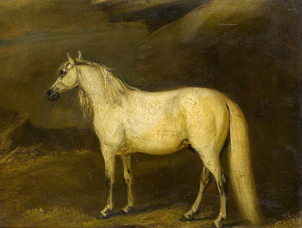 Appraisal: ENGLISH SCHOOL TH CENTURY PORTRAIT OF A WHITE STALLION signed