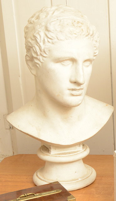 Appraisal: AN ANTIQUE PLASTER PORTRAIT BUST of a young Grecian figure