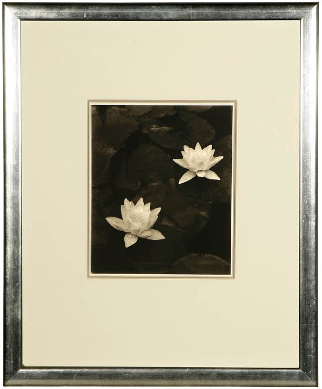 Appraisal: Ned Scott - Ned Scott - Hollywood CA Pond Lilies